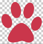 Formatos de archivo en diseño