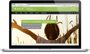 Plantilla WordPress para ONG