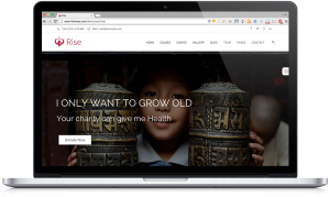 Plantilla WordPress ONG