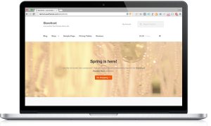 Plantillas para tiendas online con WordPress