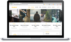 Plantilla WordPress premium para blog