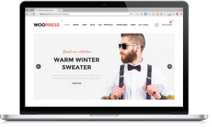 Comprar plantillas de WordPress para tiendas