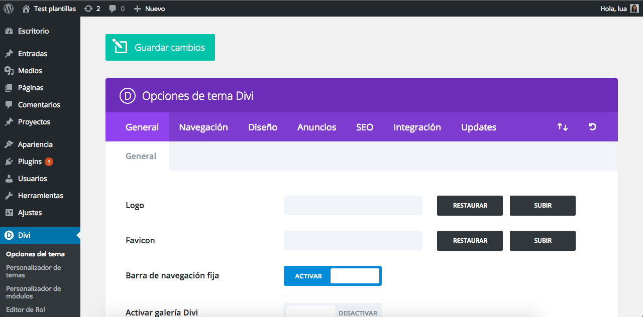 Pantalla de configuración de Divi